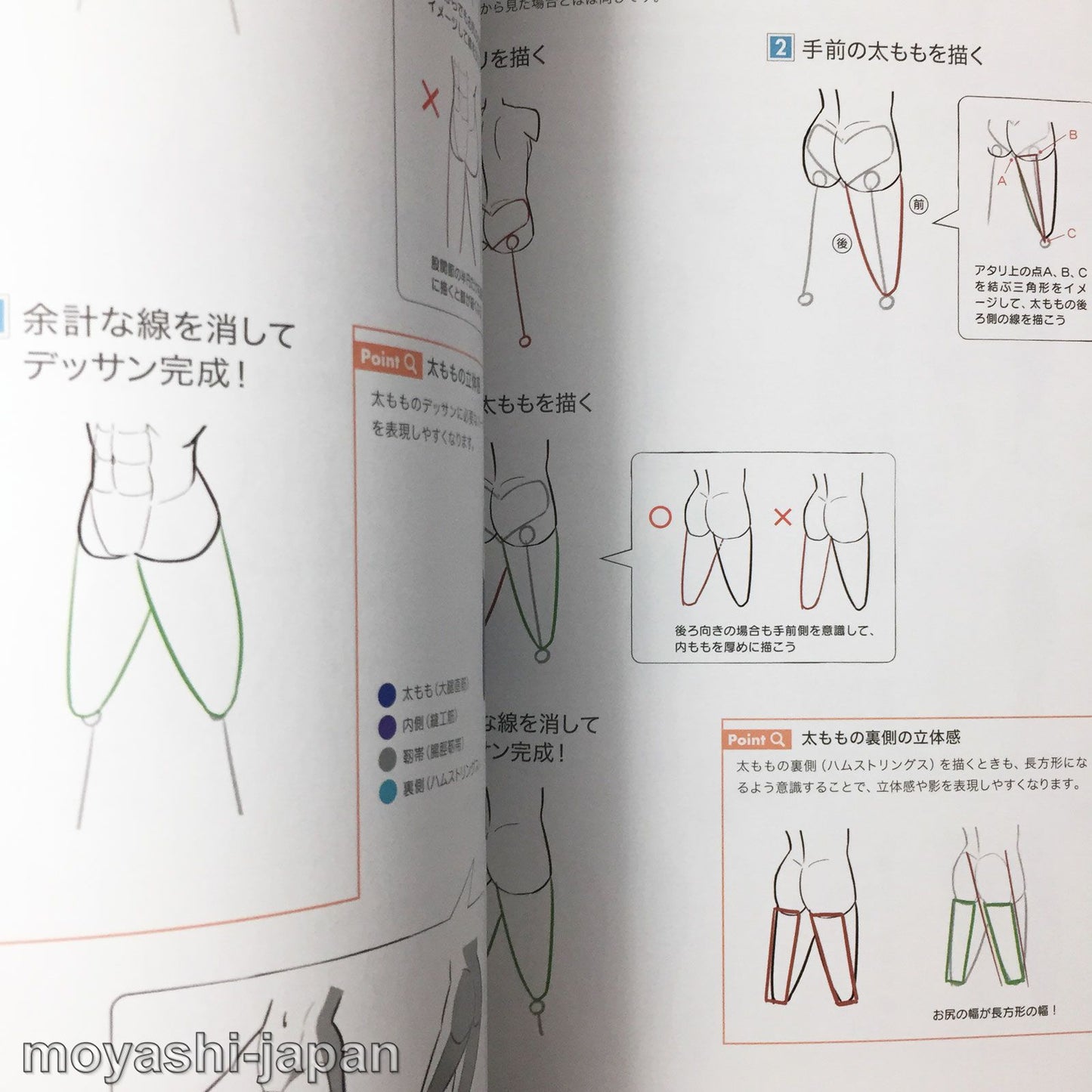 Digital Illustration "Body" Drawing Encyclopedia