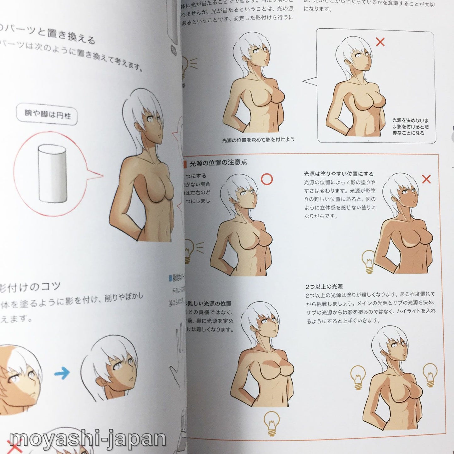 Digital Illustration "Body" Drawing Encyclopedia