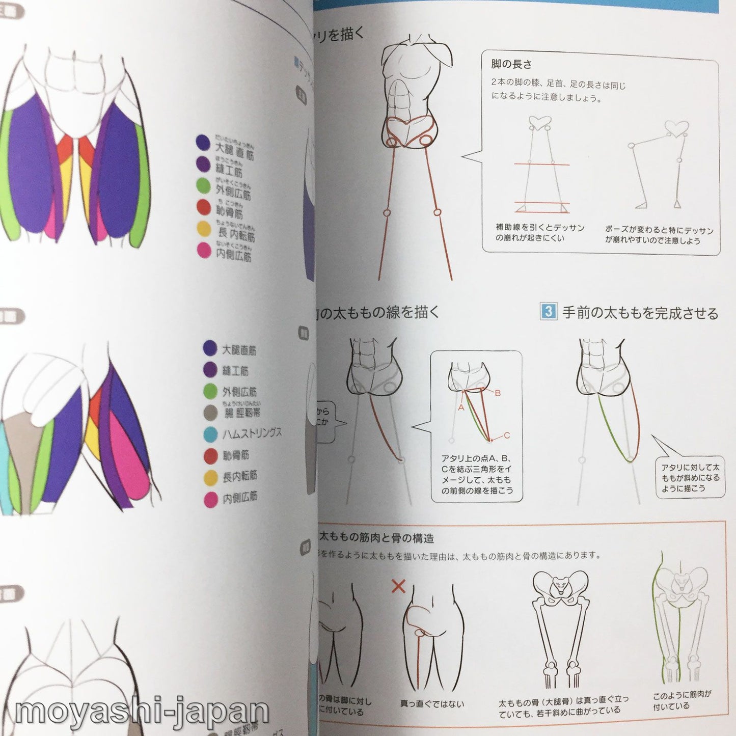 Digital Illustration "Body" Drawing Encyclopedia
