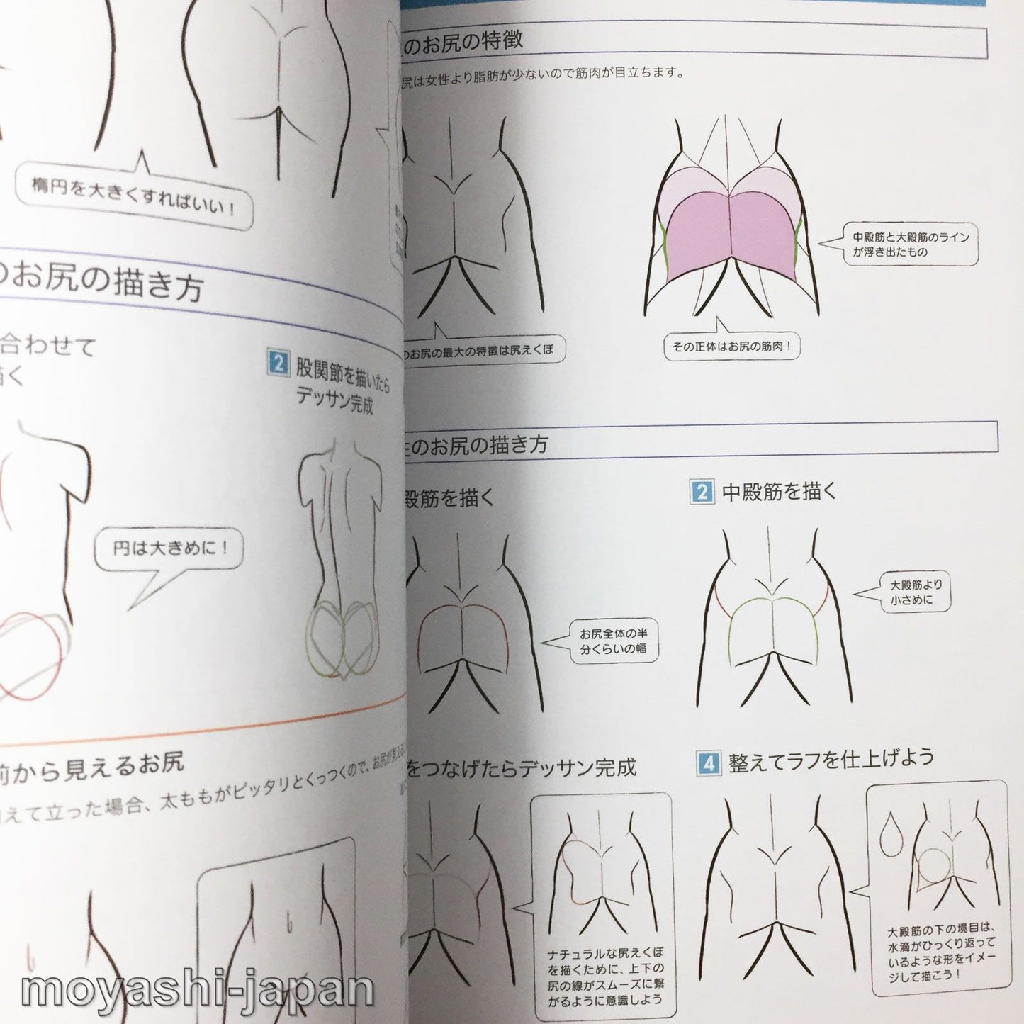 Digital Illustration "Body" Drawing Encyclopedia
