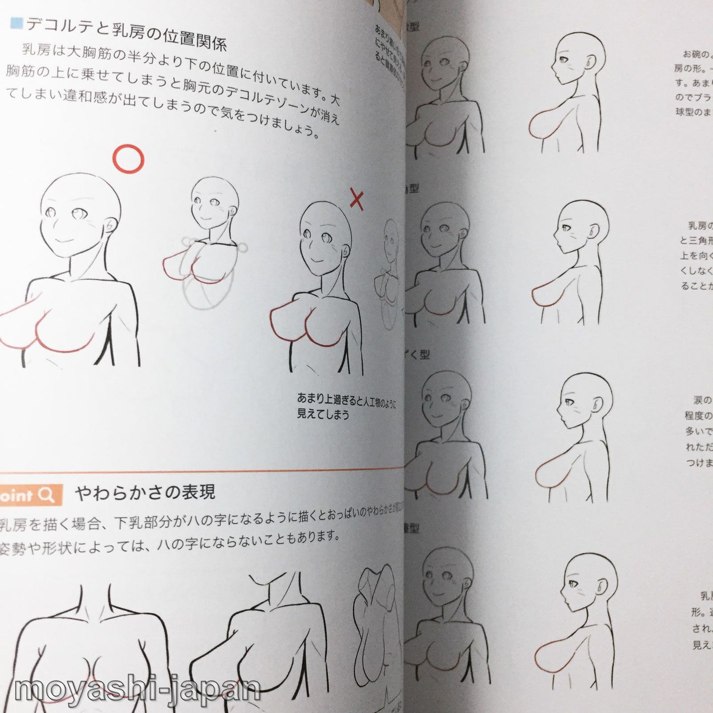Digital Illustration "Body" Drawing Encyclopedia