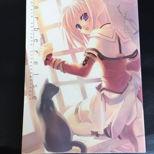 Chisato Naruse Illustrations Farbereise