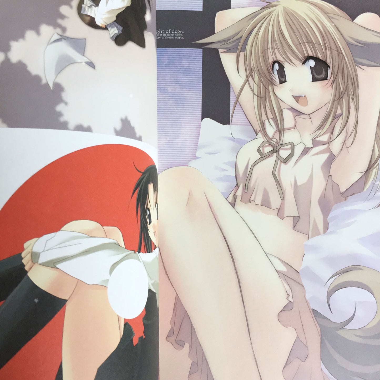 Chisato Naruse Illustrations Farbereise