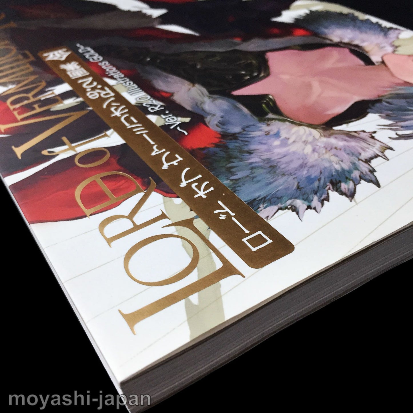 LORD of VERMILION Re:2 Ver.R2.0 Art Book GOLD