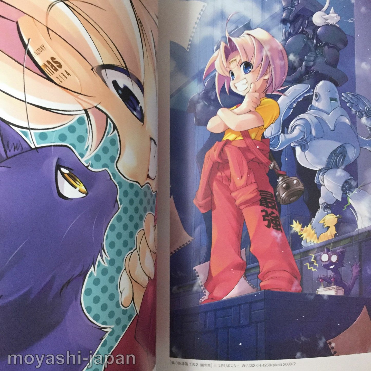 Yuu Shiina Art Book 'Tenkyu Kitan'