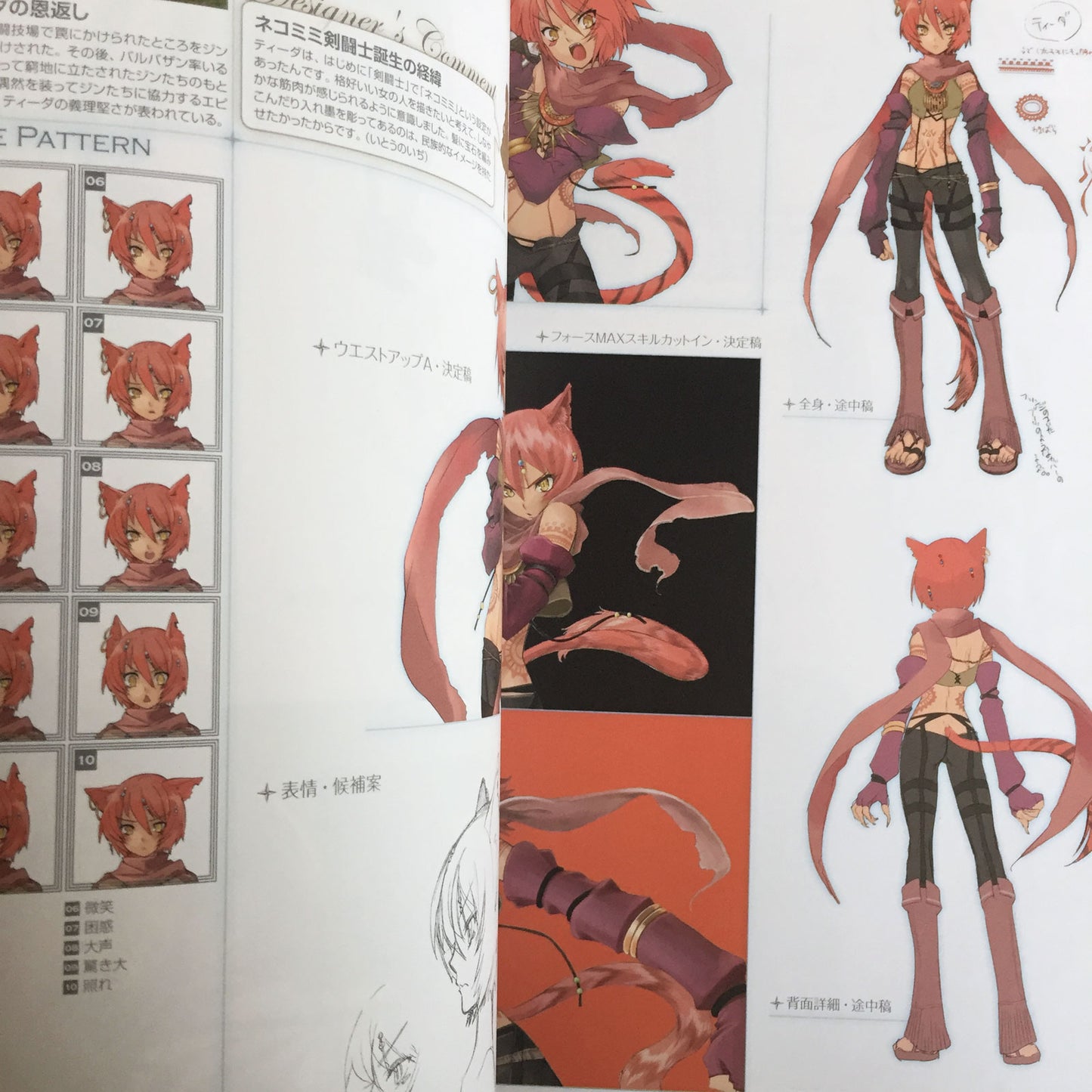 Shining Force Feather Design Works Noizi Ito