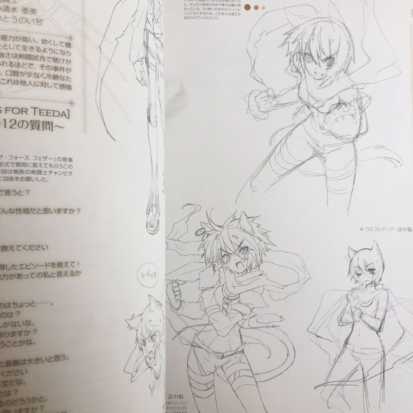Shining Force Feather Design Works Noizi Ito