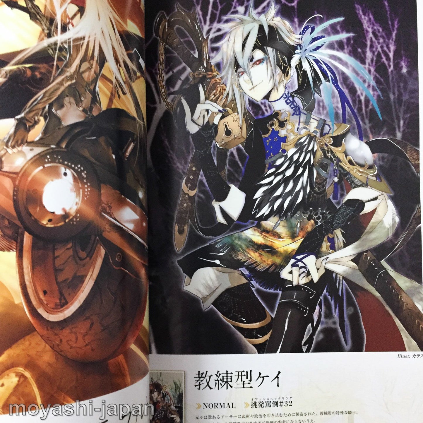 Kaku-San-Sei Million Arthur Art Book