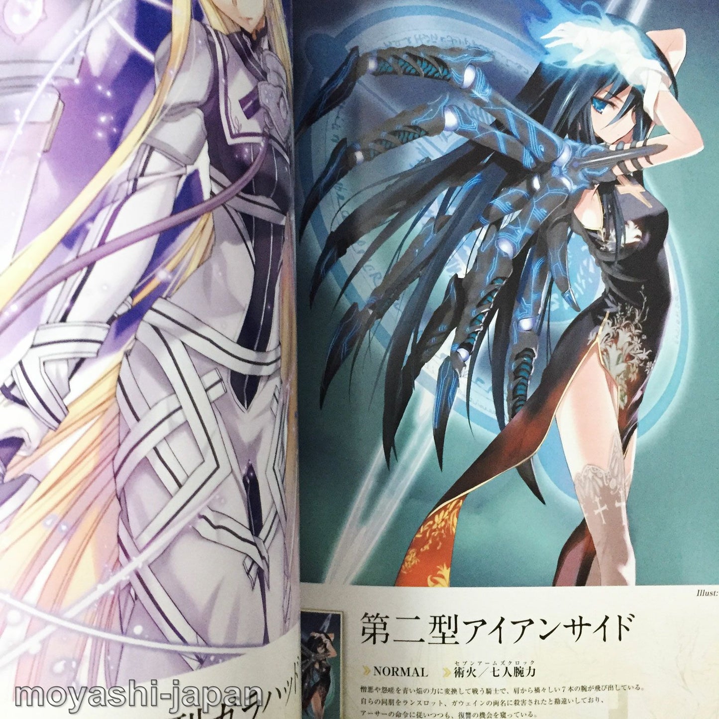 Kaku-San-Sei Million Arthur Art Book