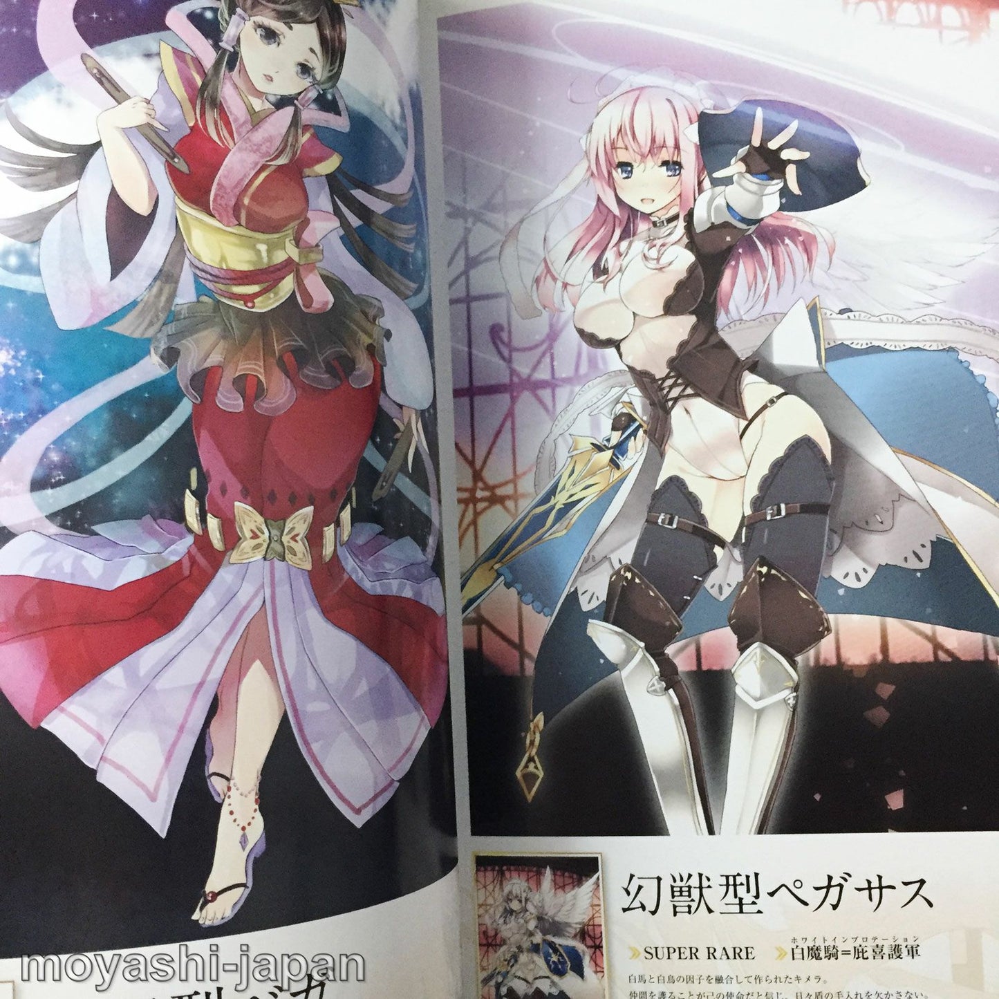 Kaku-San-Sei Million Arthur ART BOOK Vol.2