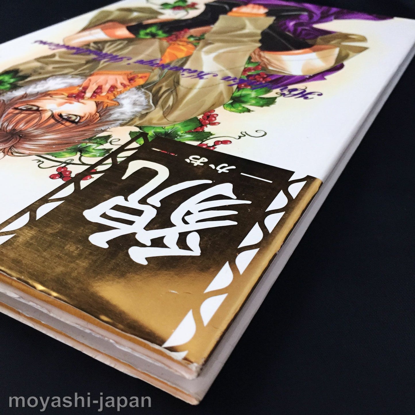 Hirotaka Kisaragi Illustrations "KAO"