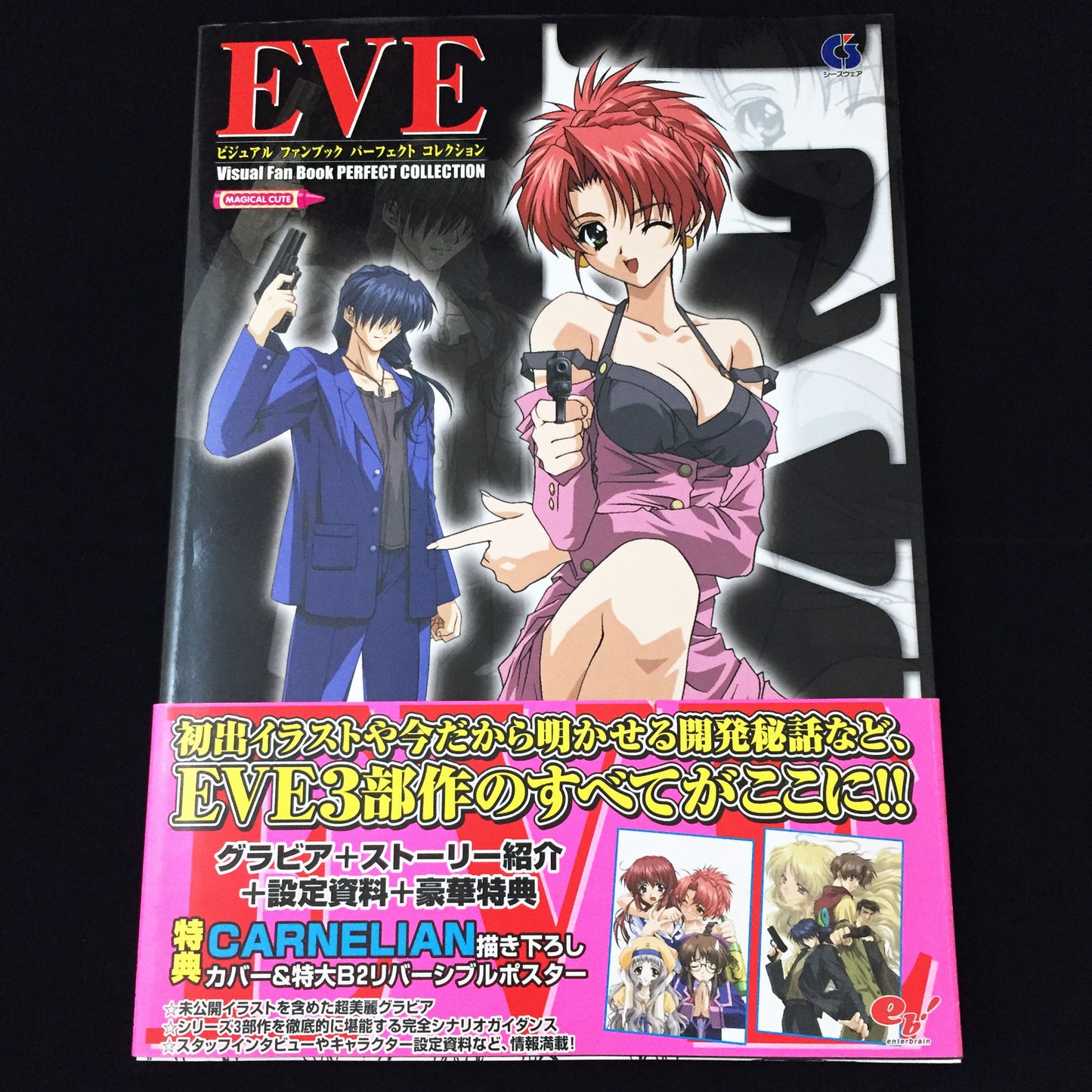 Eve Visual Fan Book Perfect Collection