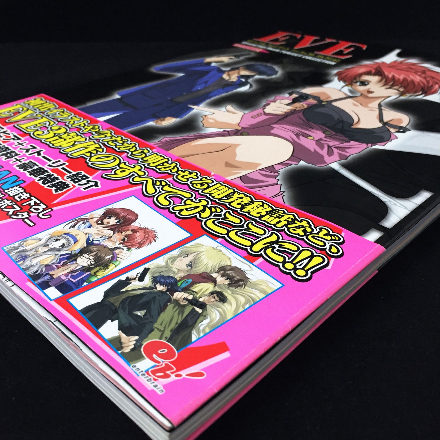 Eve Visual Fan Book Perfect Collection