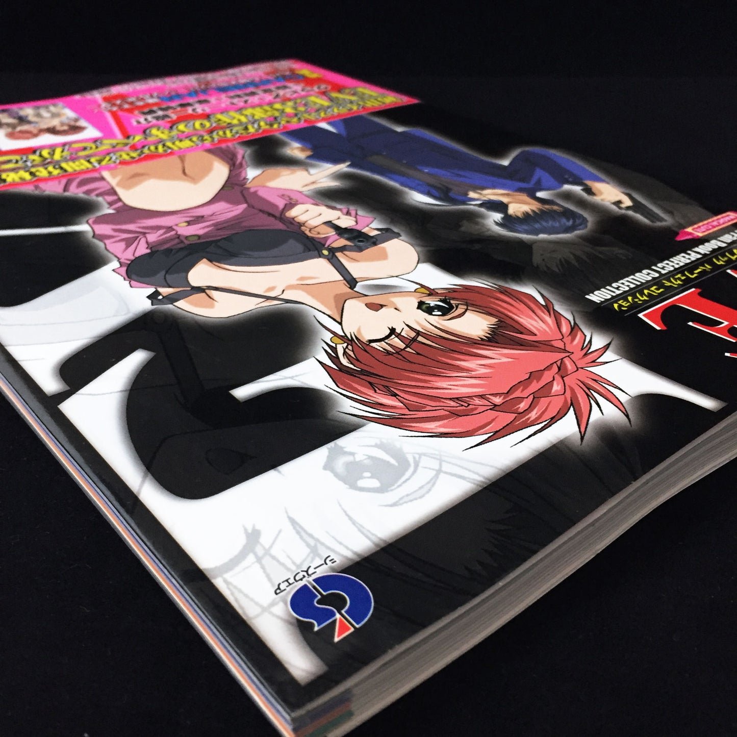 Eve Visual Fan Book Perfect Collection