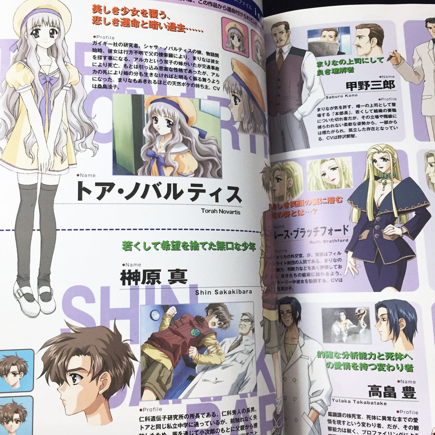 Eve Visual Fan Book Perfect Collection