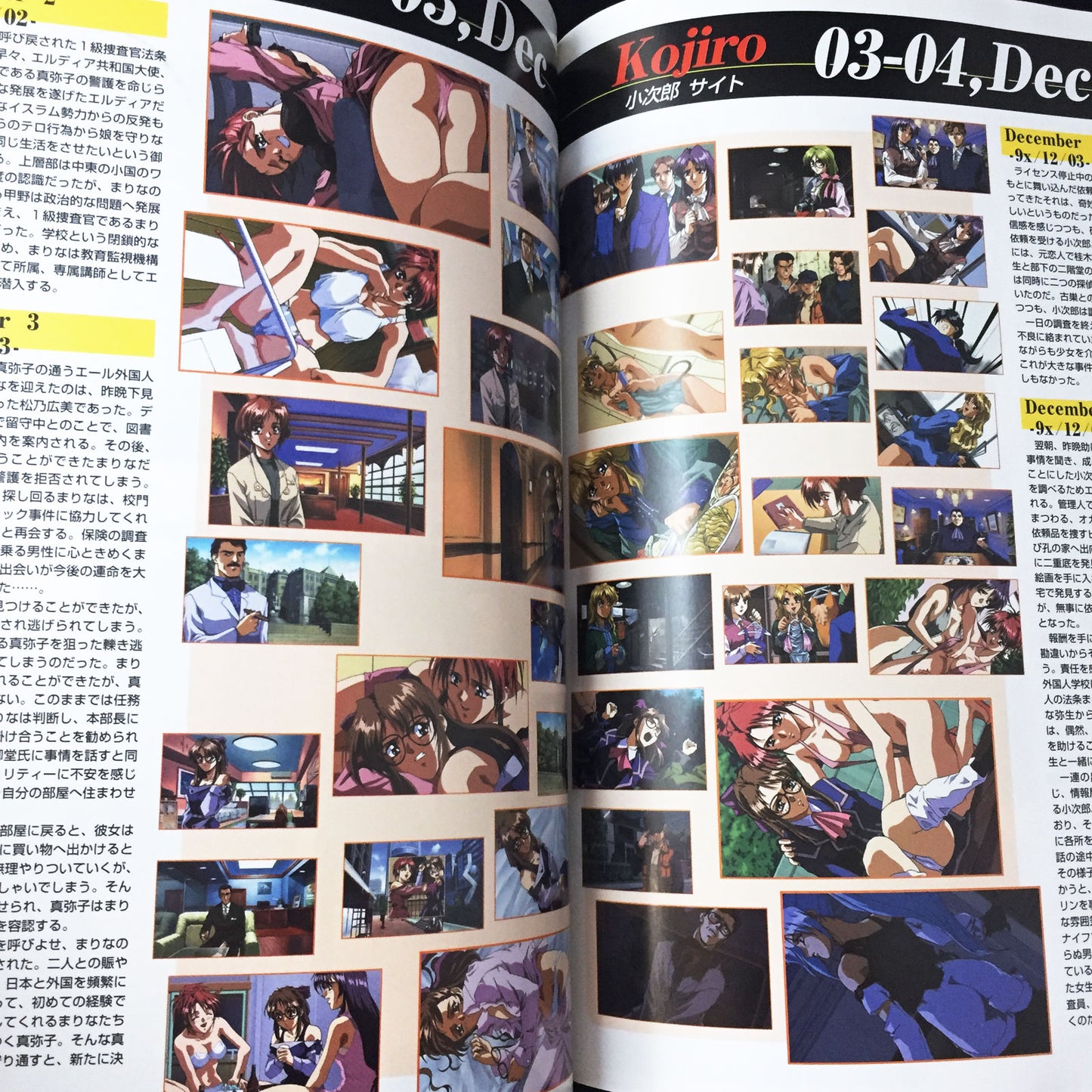 Eve Visual Fan Book Perfect Collection