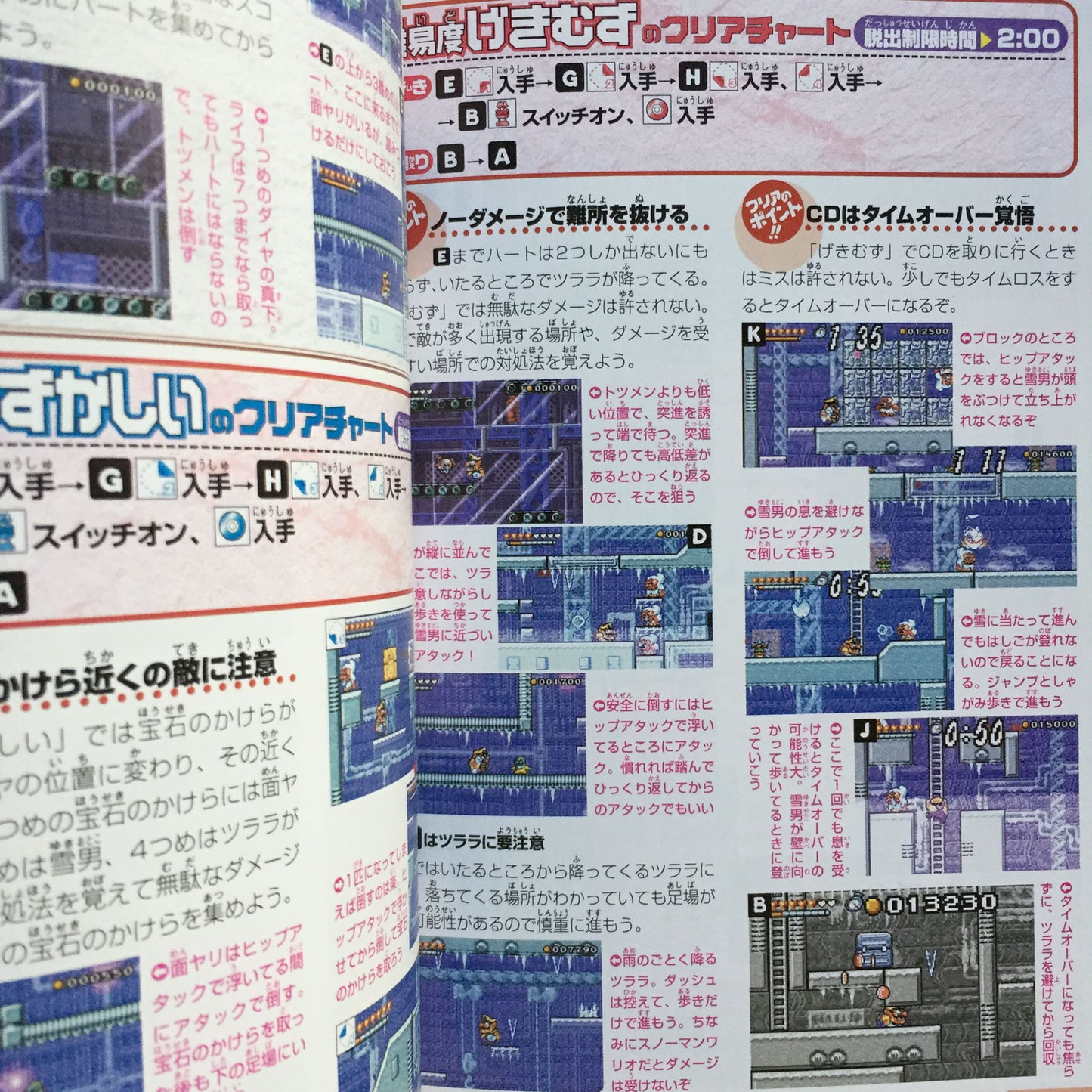 Wario Land 4 Strategy Guide Book