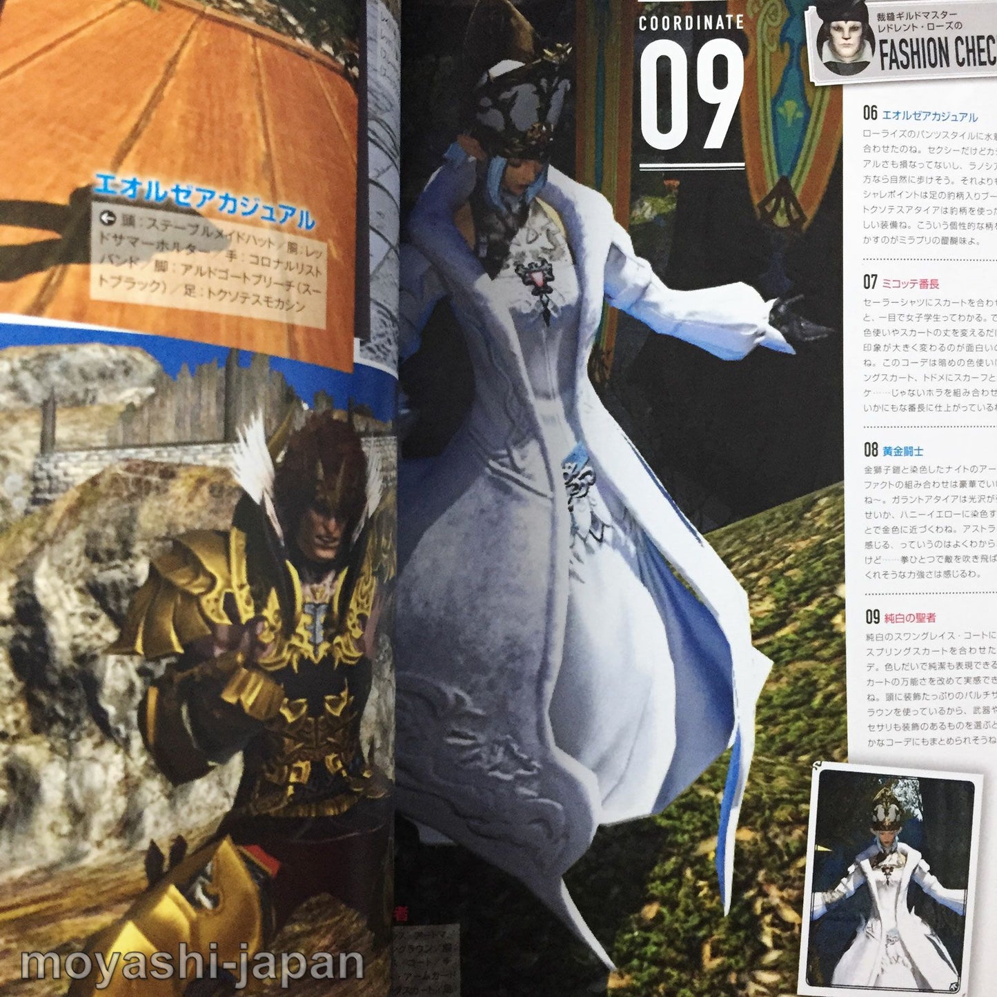 FINAL FANTASY XIV EORZEA Collection 2014