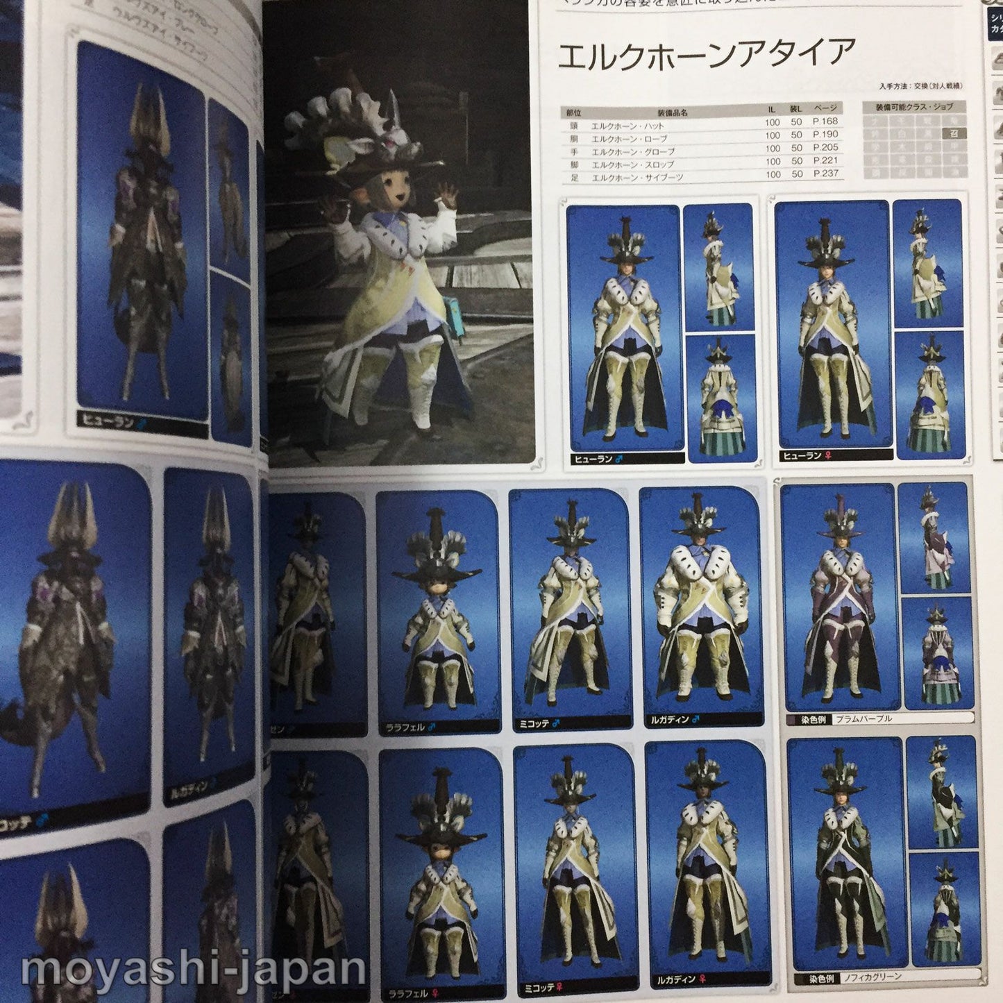 FINAL FANTASY XIV EORZEA Collection 2014