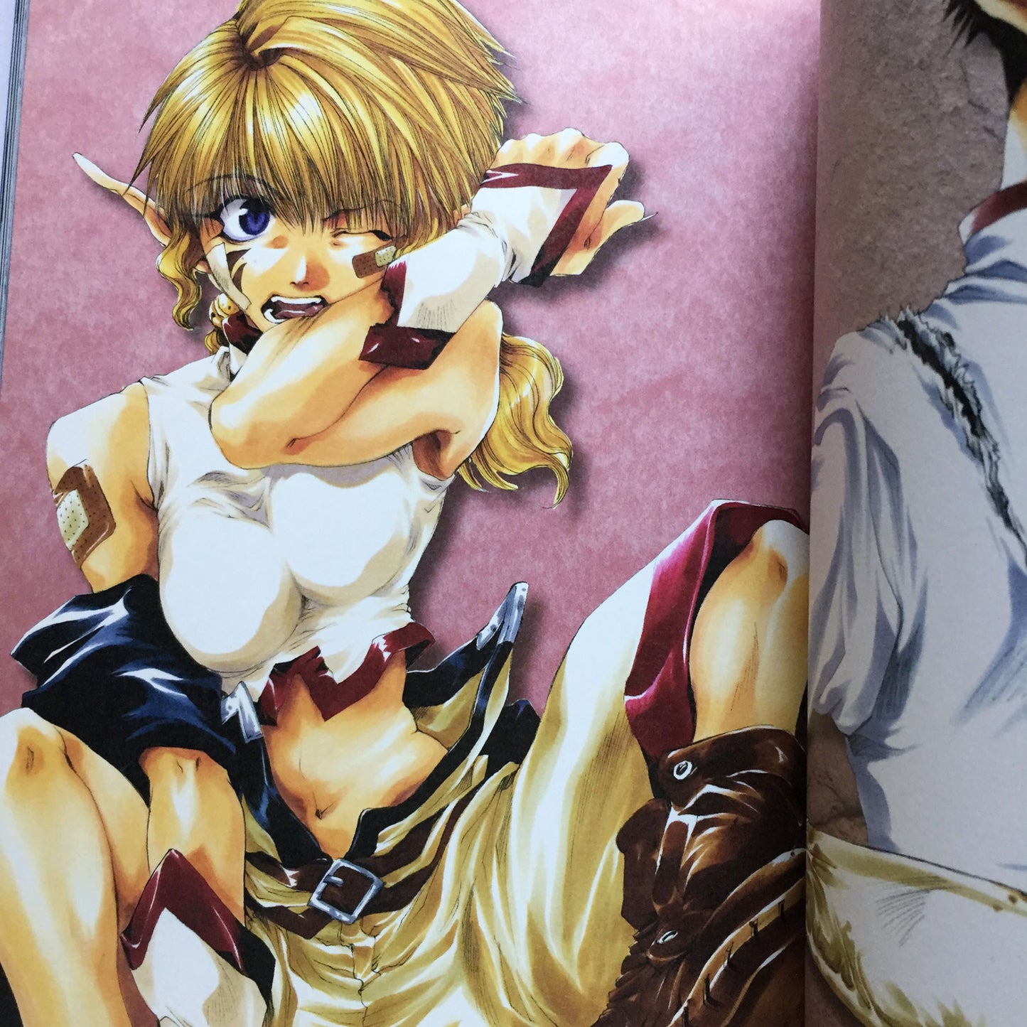 Kazuya Minekura Art Book Salty-dog 2