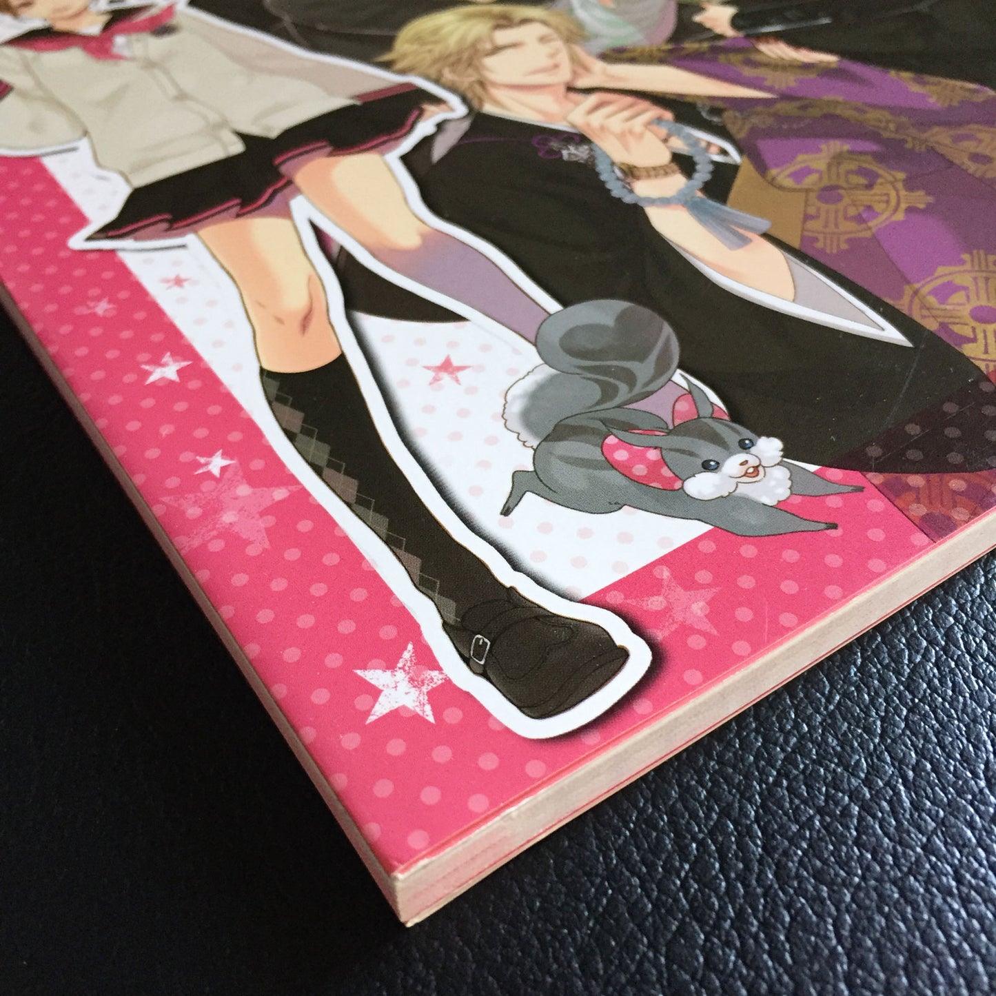 Brothers Conflict TV Animation Official Fan Book