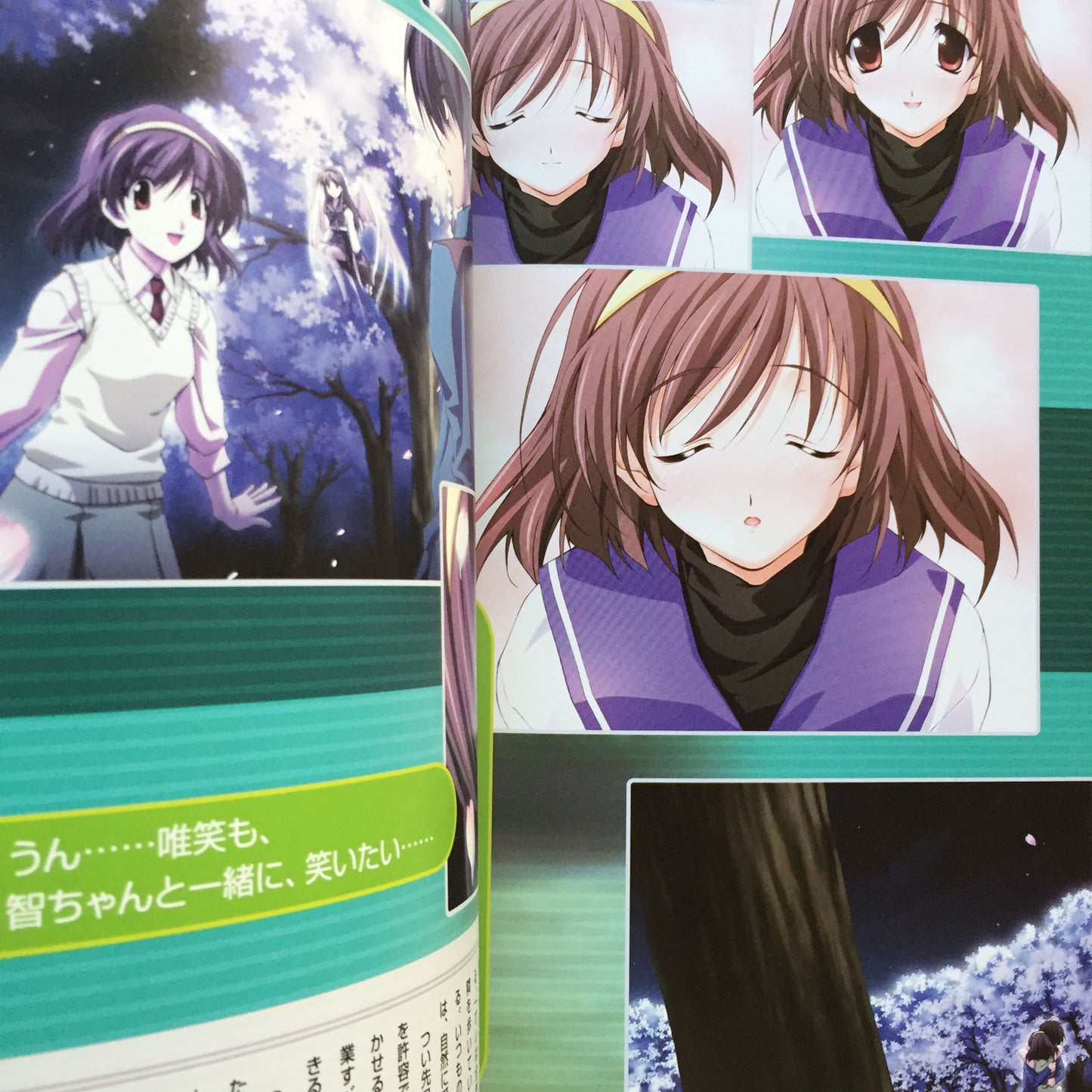 Memories Off After Rain Vol.3 Visual Fan Book