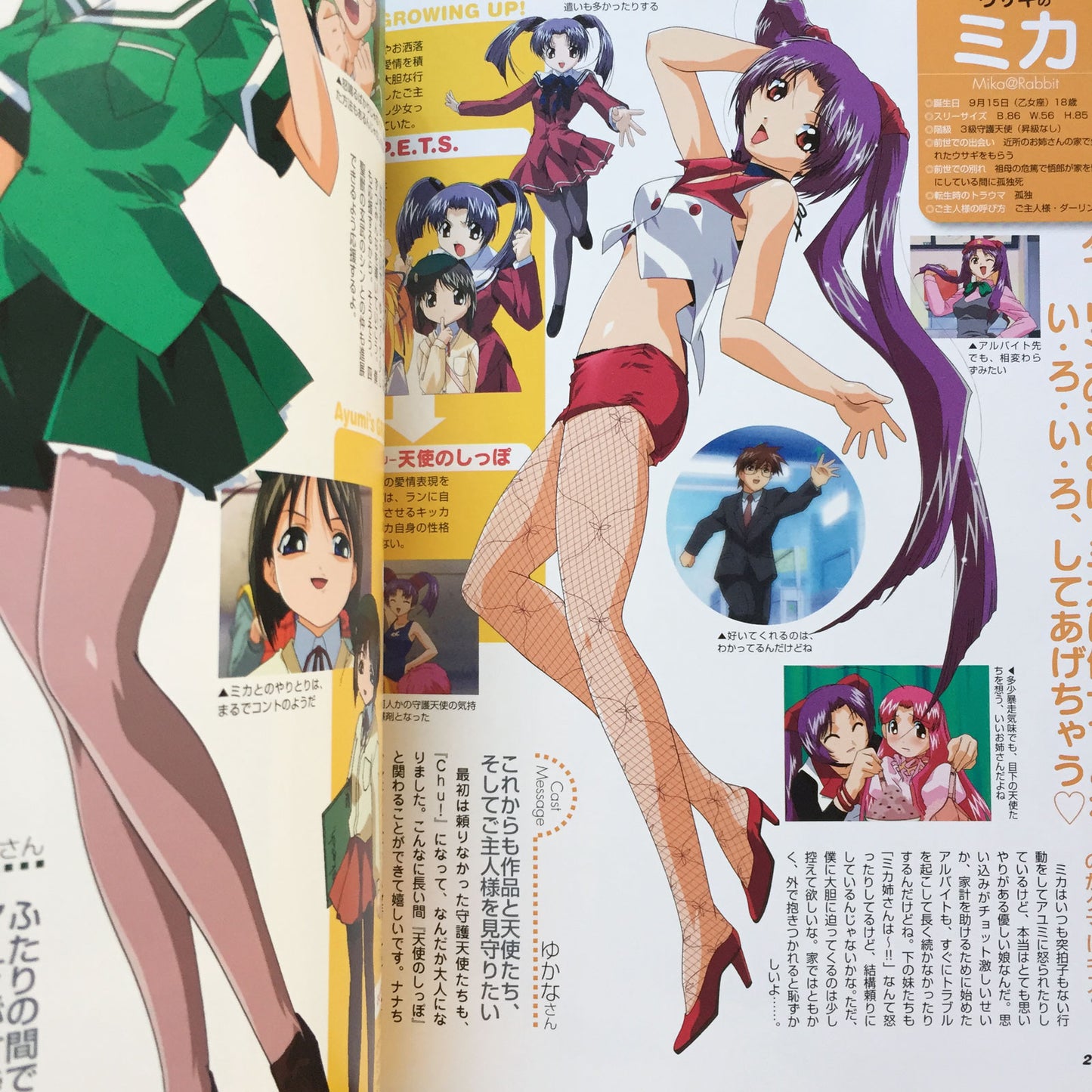 Otogi Story Tenshi no Shippo Chu! Guide Book