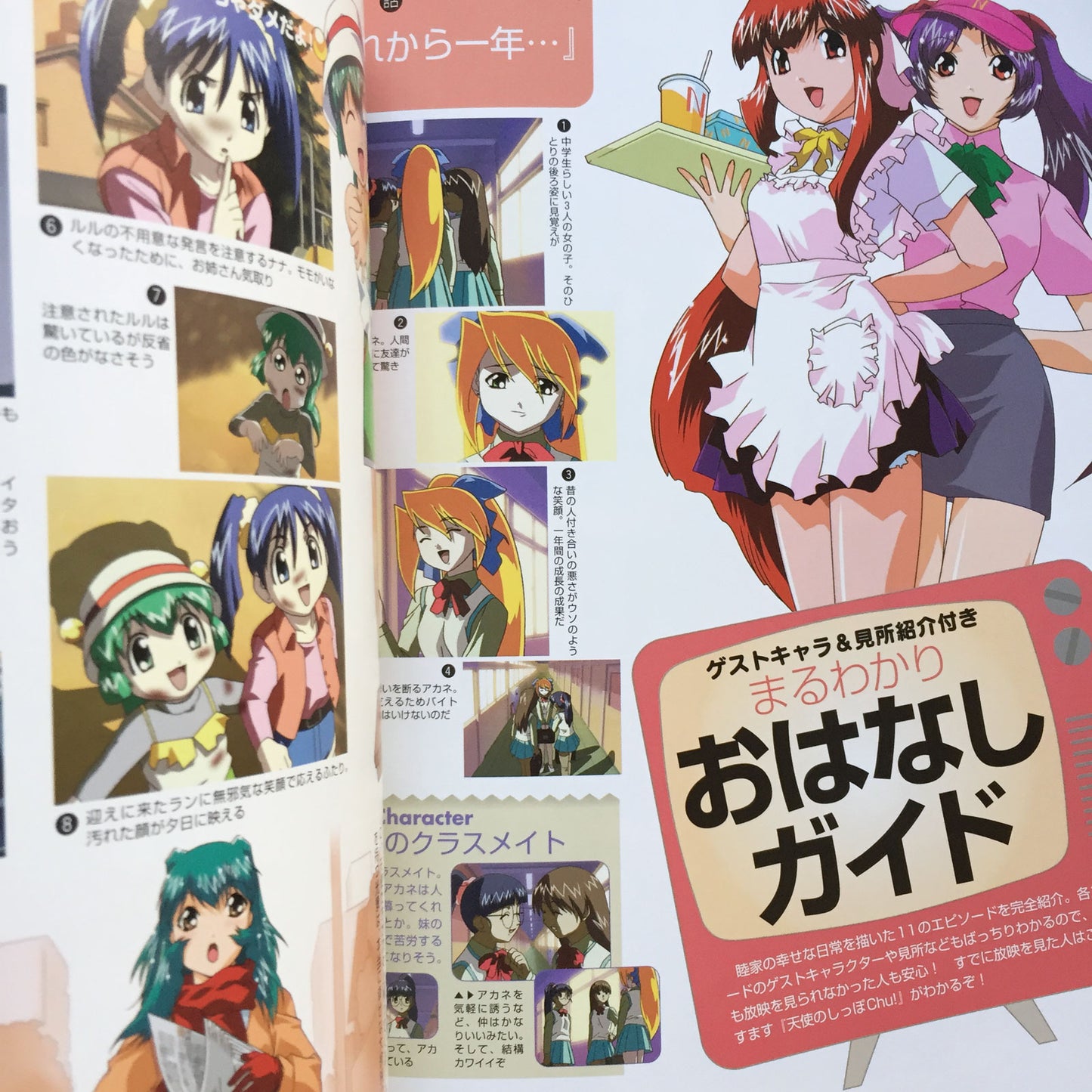 Otogi Story Tenshi no Shippo Chu! Guide Book