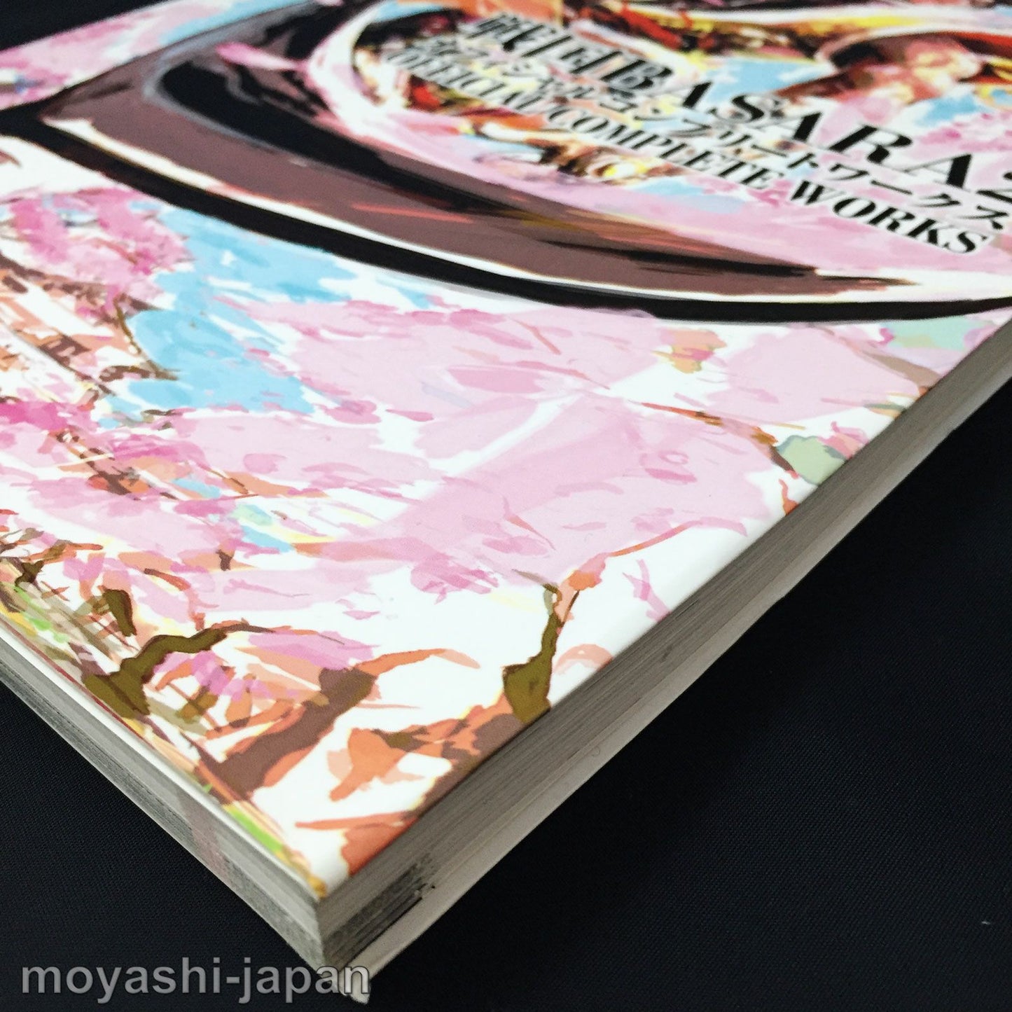 Sengoku Basara 2 Official Complete Works