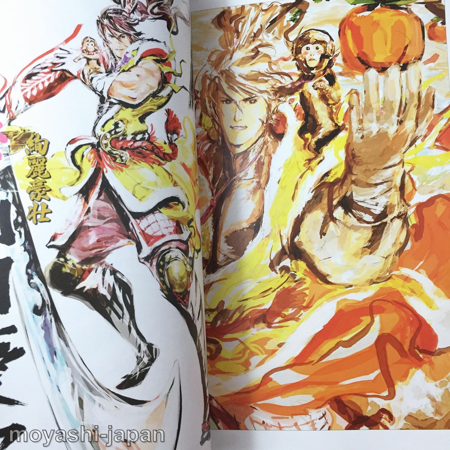 Sengoku Basara 2 Official Complete Works