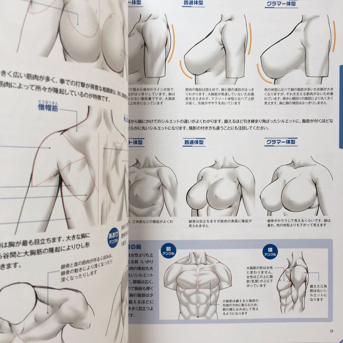 Fighting and Action Pose Drawing Techniques