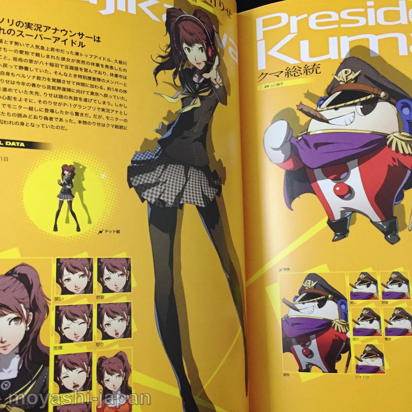 PERSONA 4 THE ULTIMATE in MAYONAKA ARENA Official Design Works