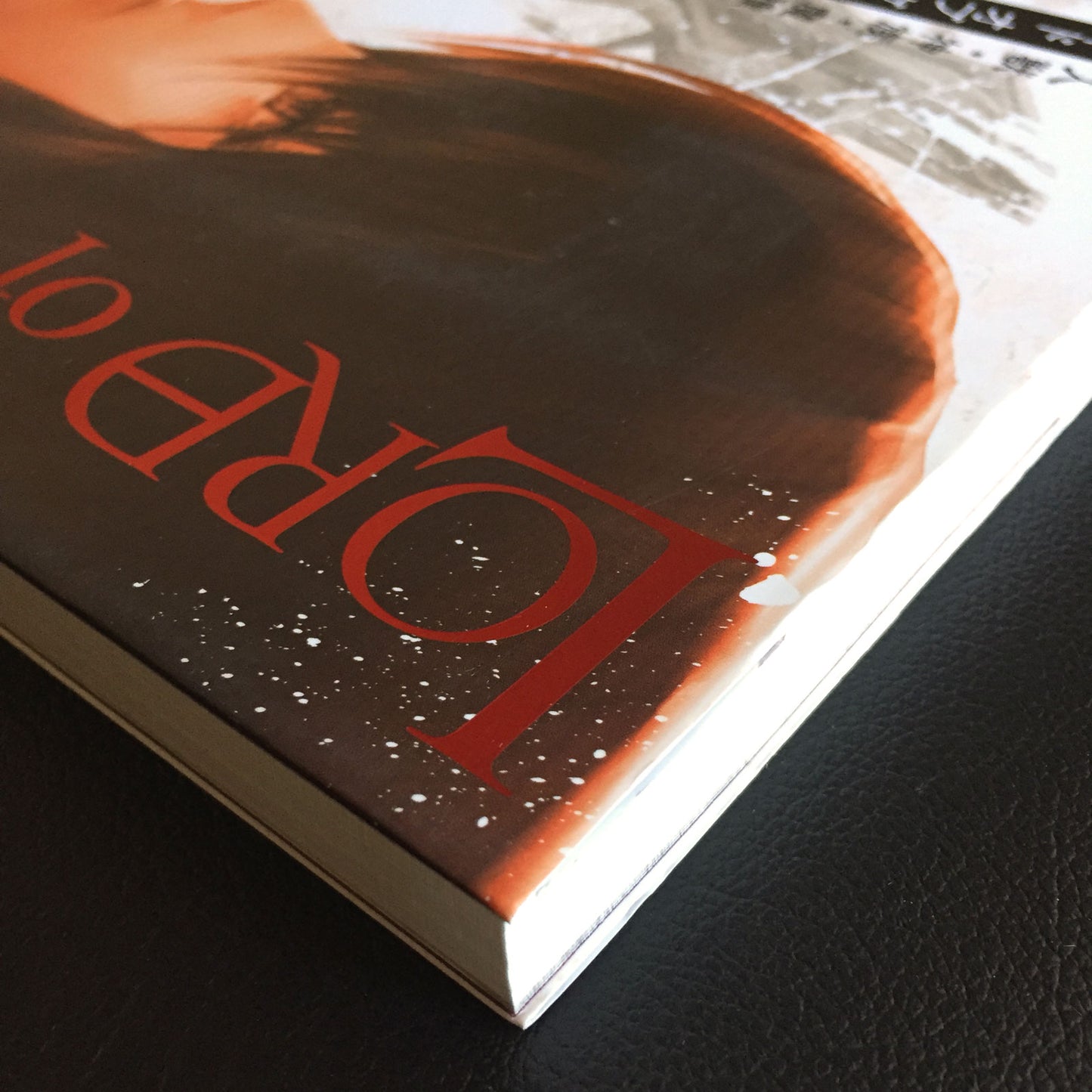LORD of VERMILION 2 Art Book AKA