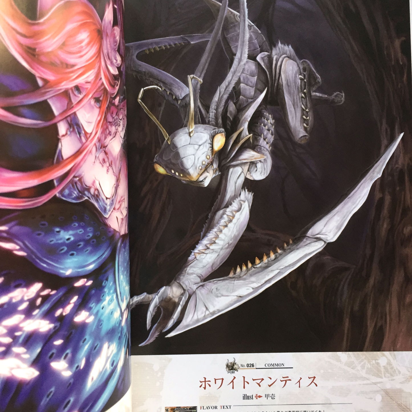 LORD of VERMILION 2 Art Book AKA