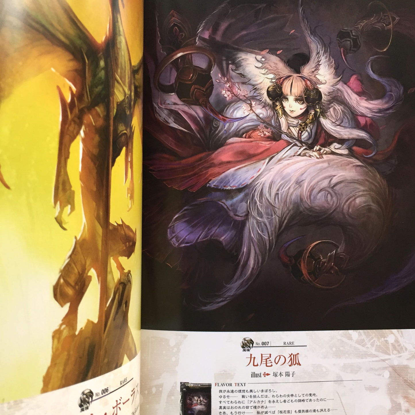 LORD of VERMILION 2 Art Book AKA
