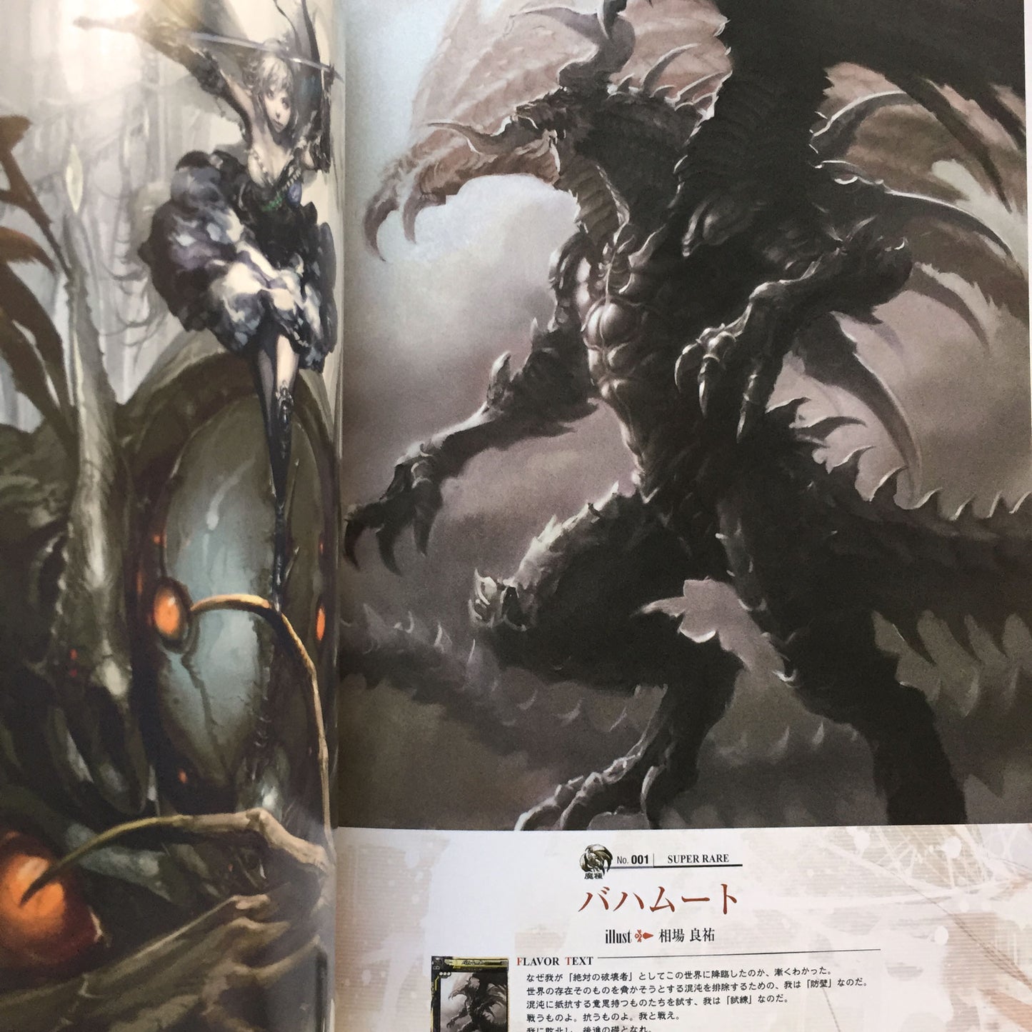 LORD of VERMILION 2 Art Book AKA