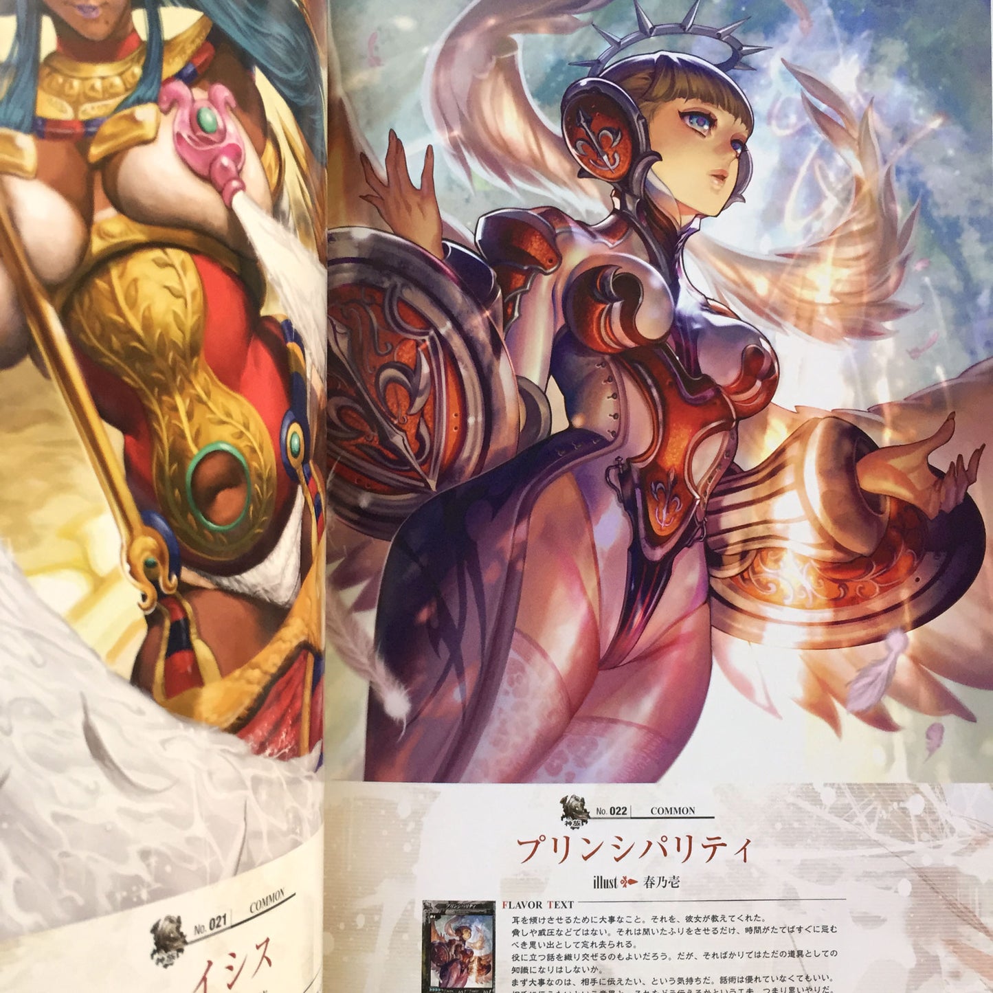 LORD of VERMILION 2 Art Book AKA