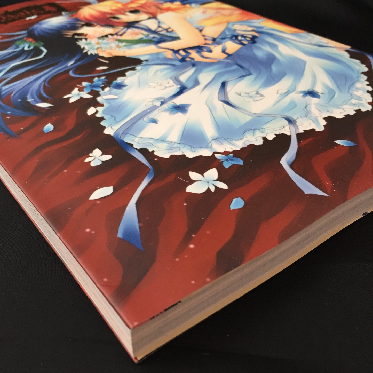Izumi Sakurazawa ART BOOK 'La Cerisaie'