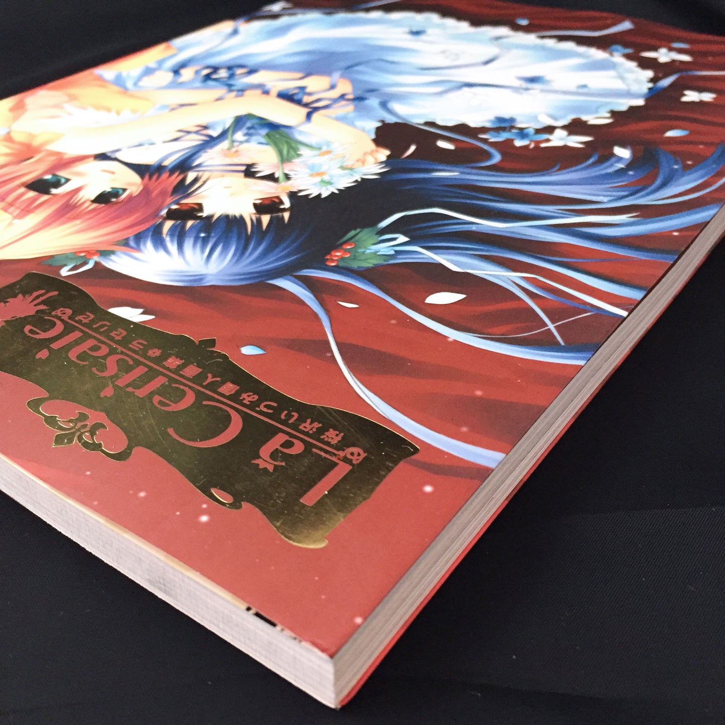 Izumi Sakurazawa ART BOOK 'La Cerisaie'