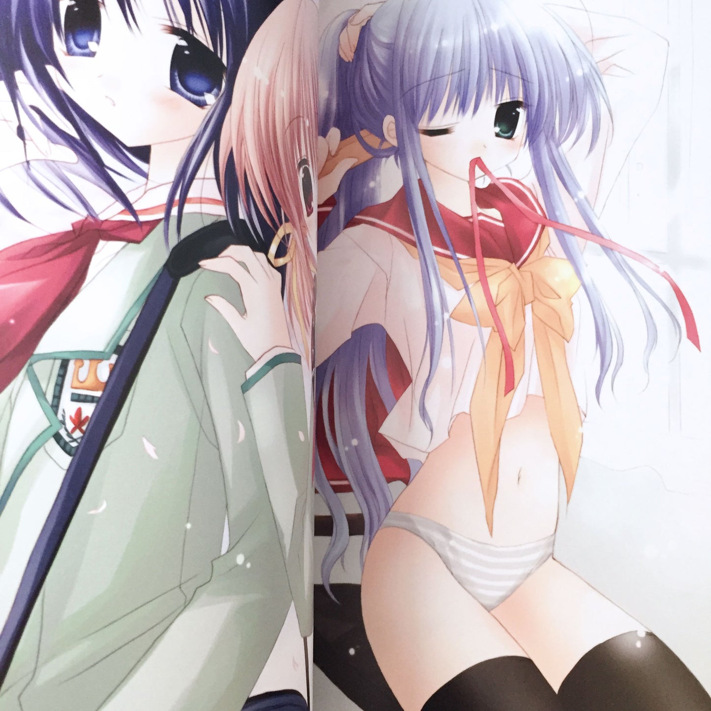 Izumi Sakurazawa ART BOOK 'La Cerisaie'