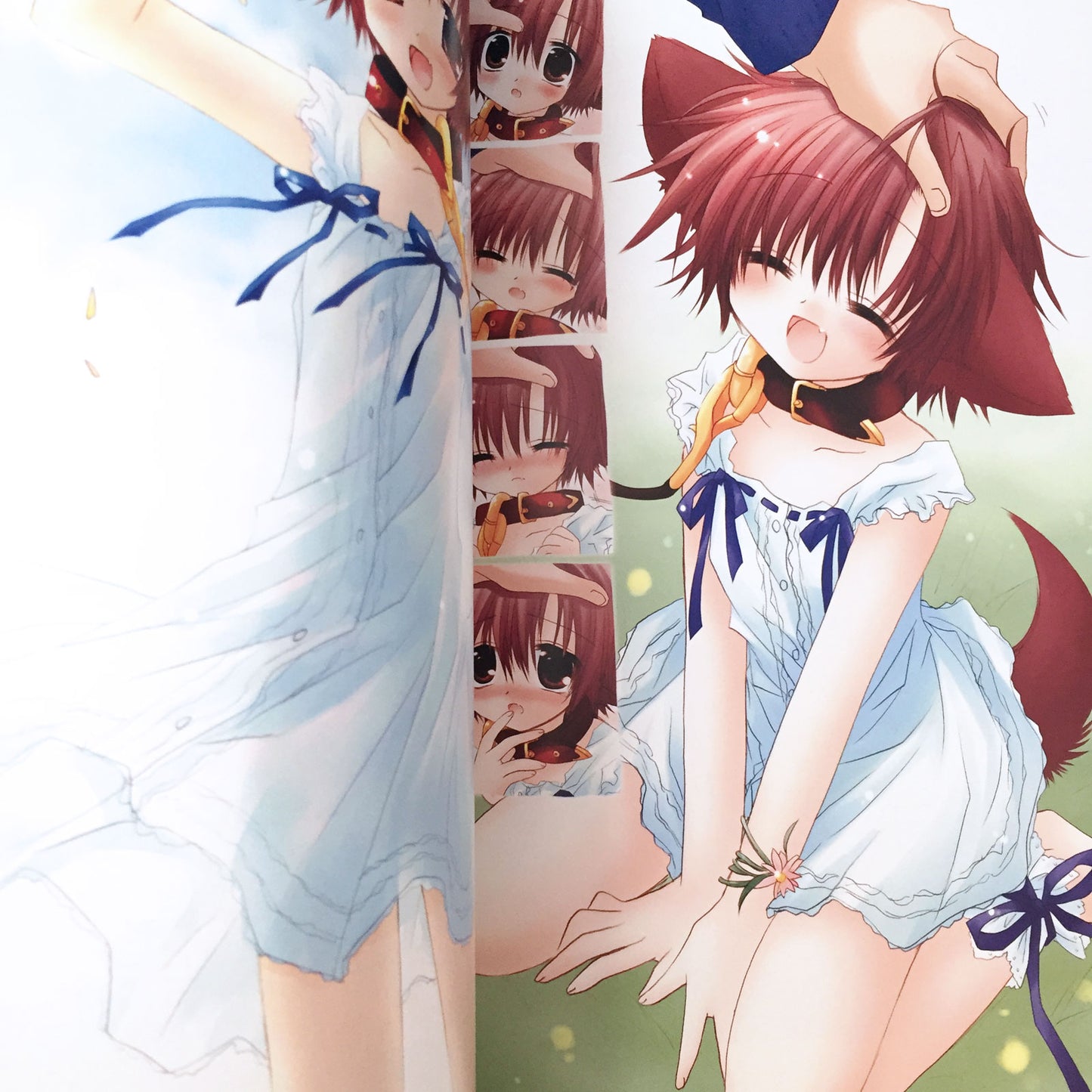 Izumi Sakurazawa ART BOOK 'La Cerisaie'