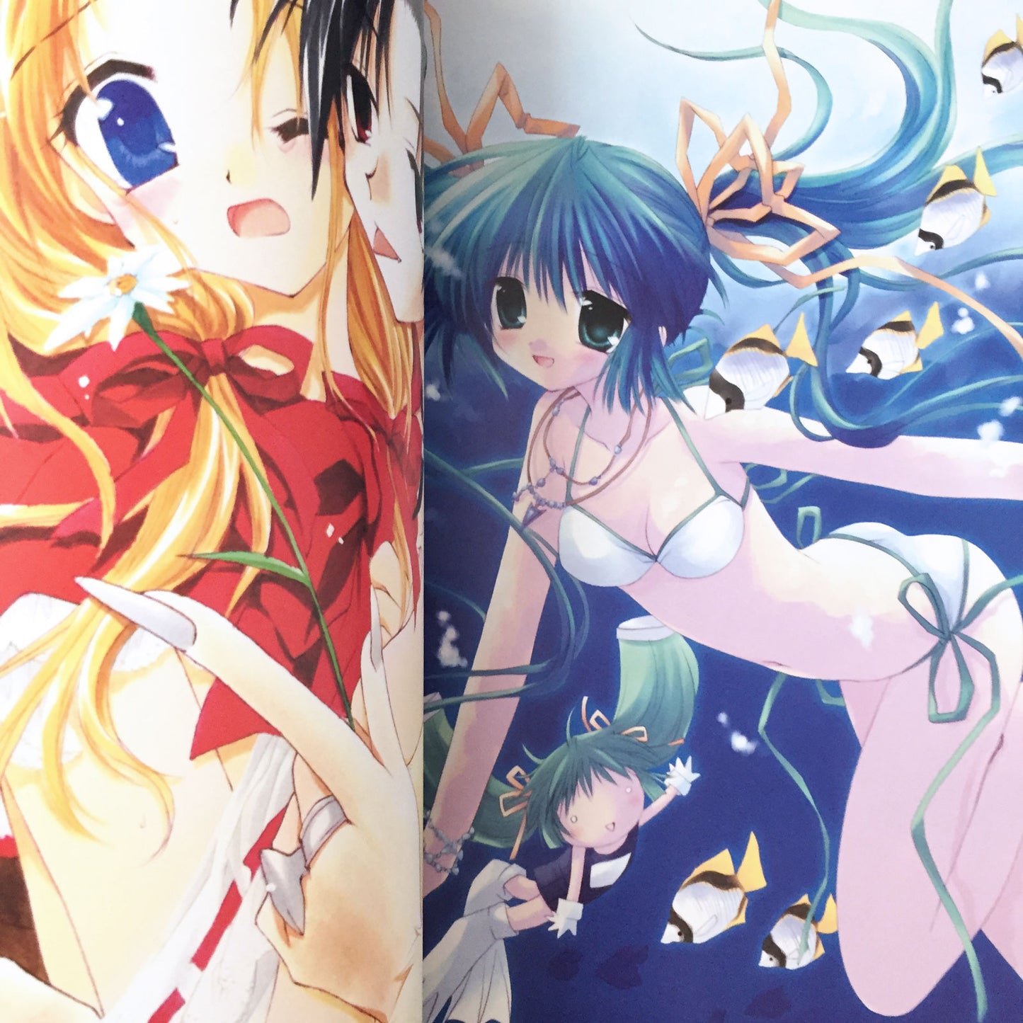 Izumi Sakurazawa ART BOOK 'La Cerisaie'
