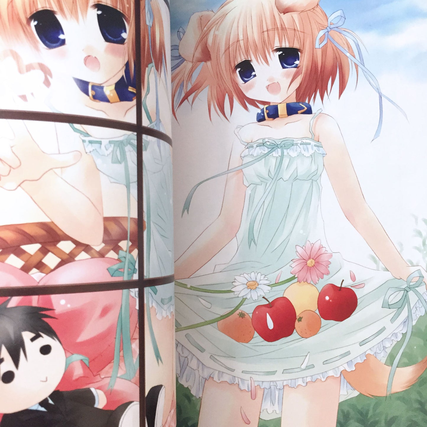 Izumi Sakurazawa ART BOOK 'La Cerisaie'