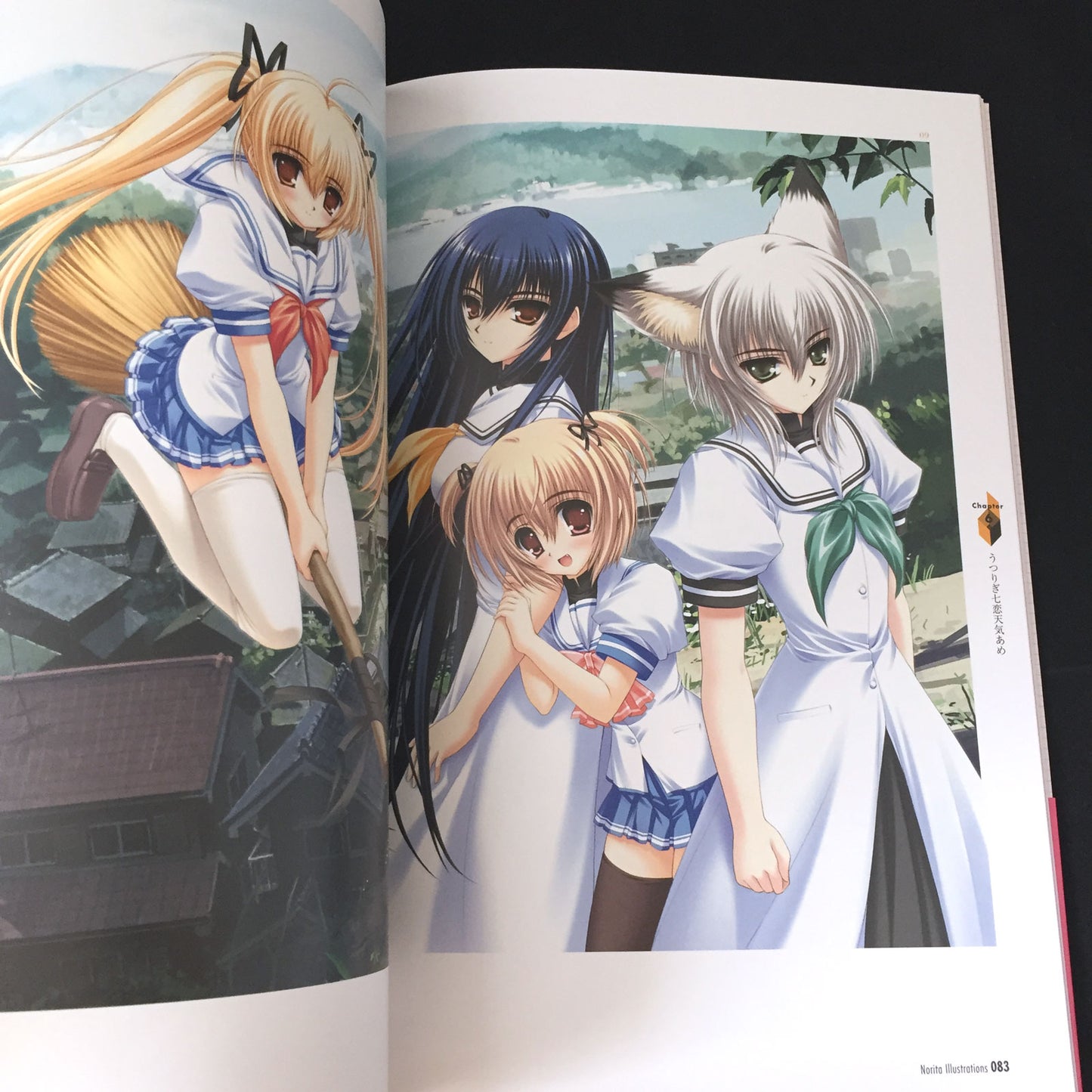Norita Illustrations