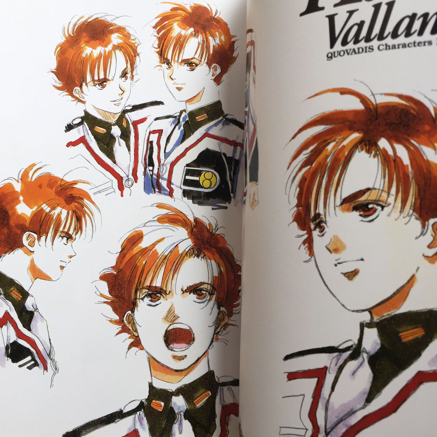 QUOVADIS Visual Book