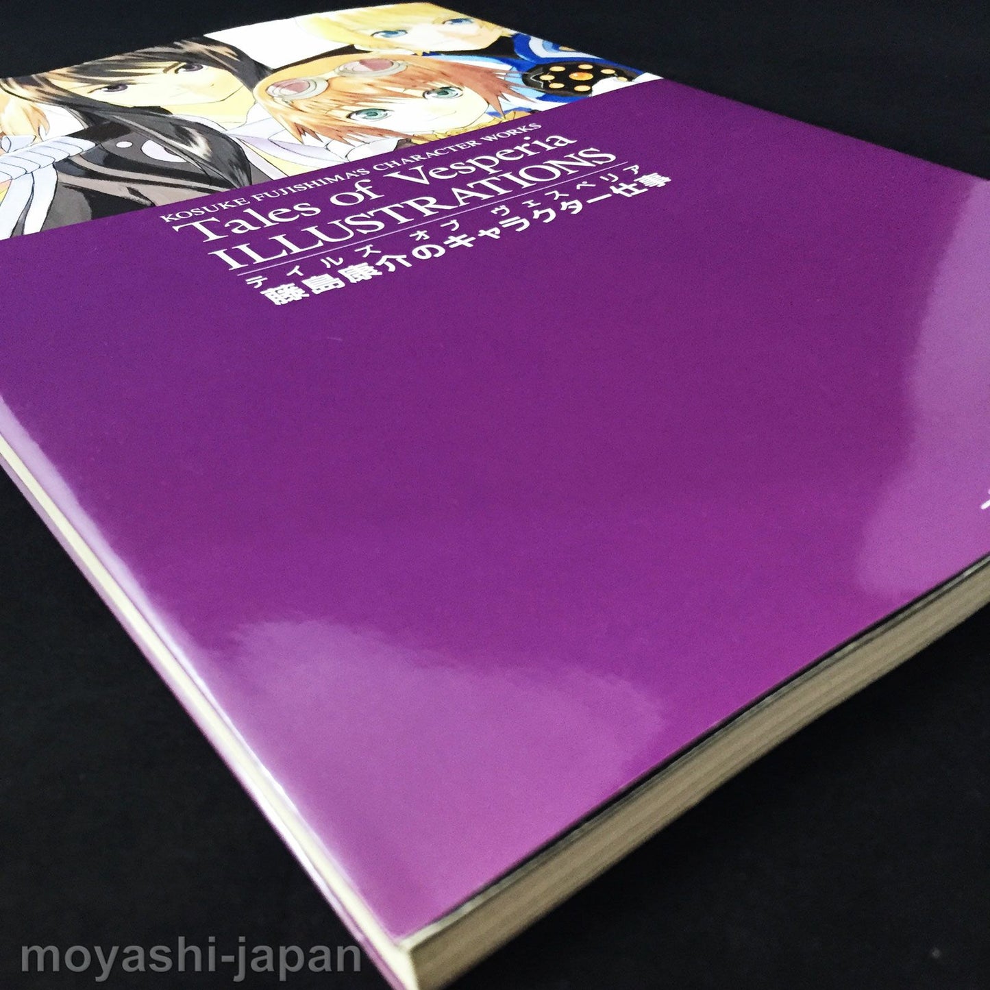 Tales of Vesperia Illustrations, Kosuke Fujishima's Character Works