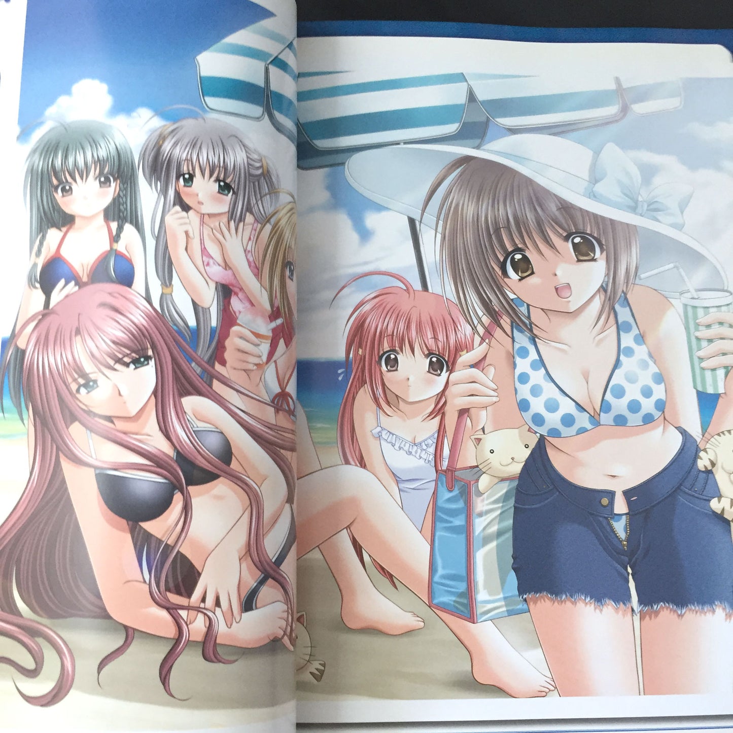 Rabudoru Lovely Idol Official Character Book