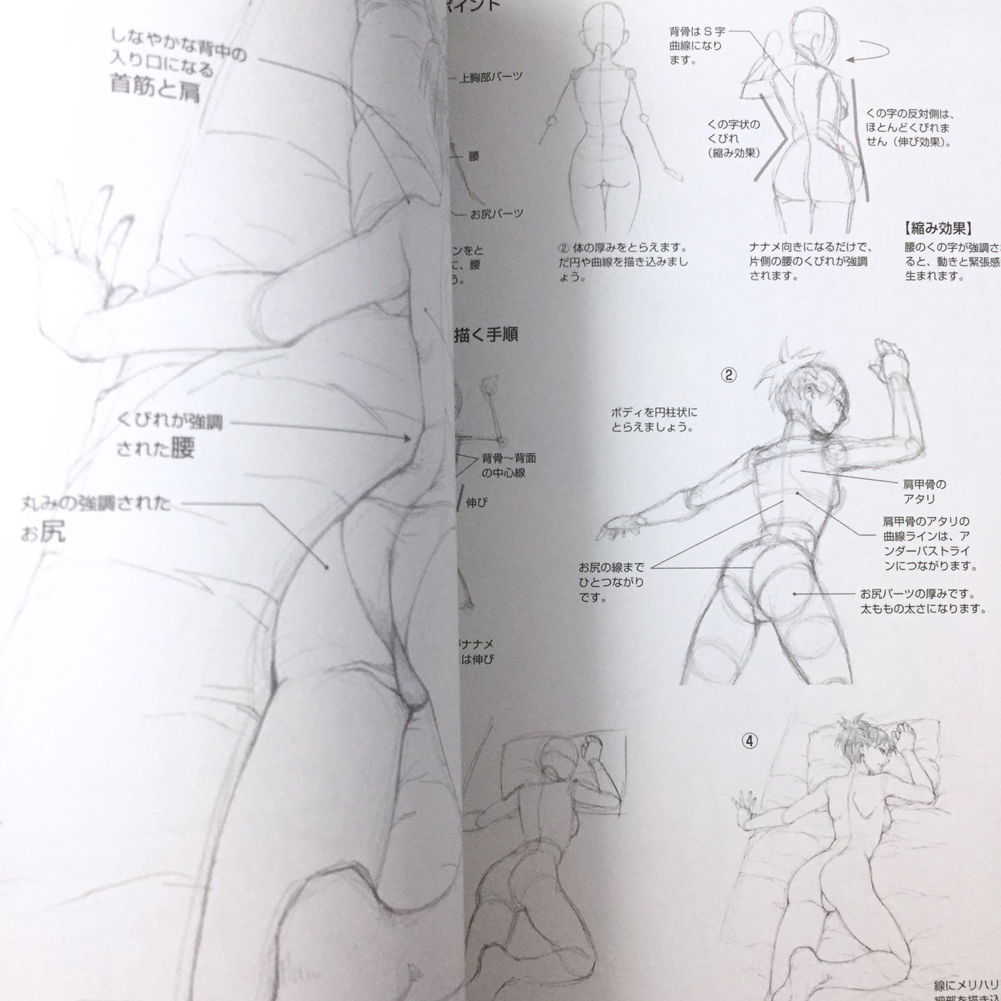 Manga Basic Drawing Female Character