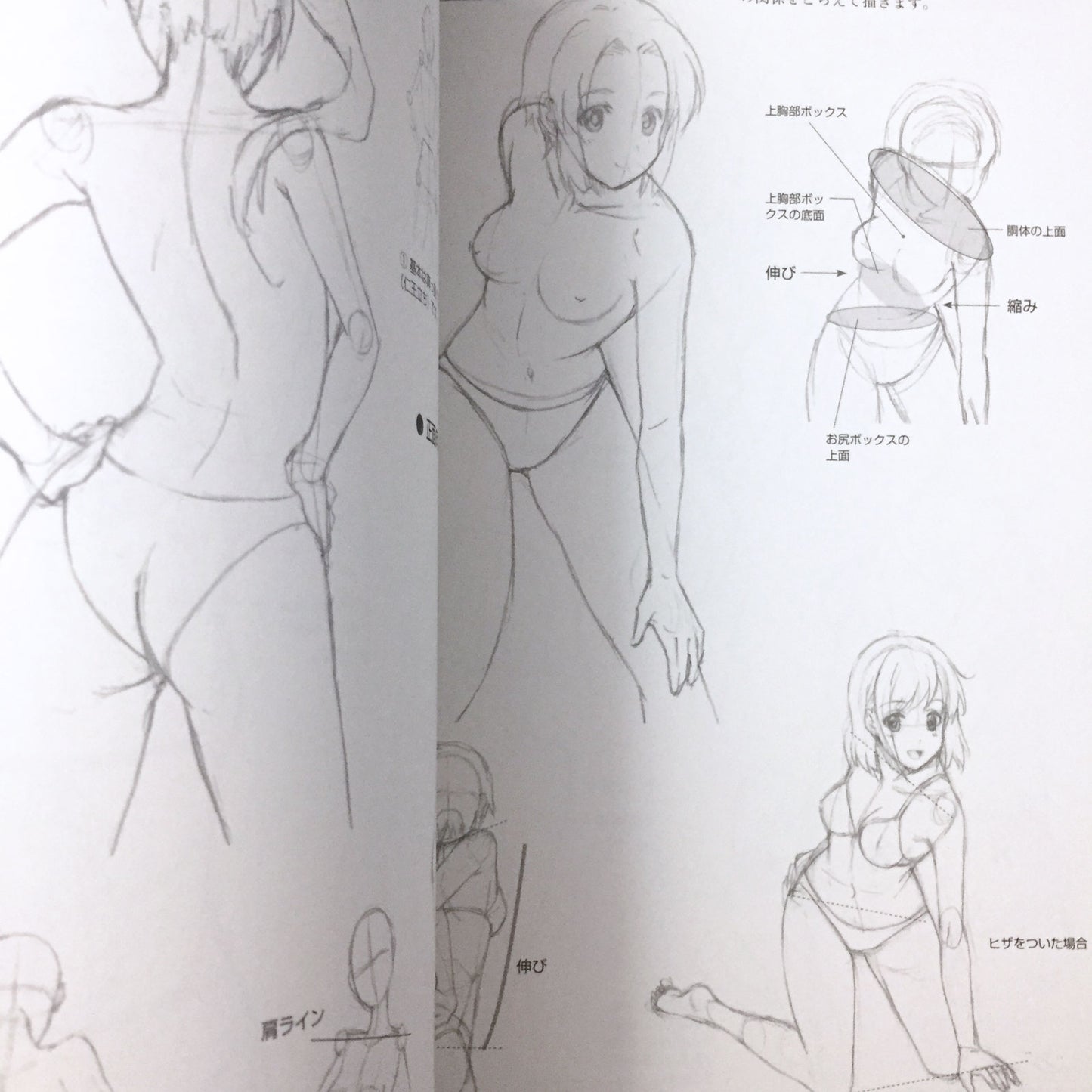Manga Basic Drawing Female Character