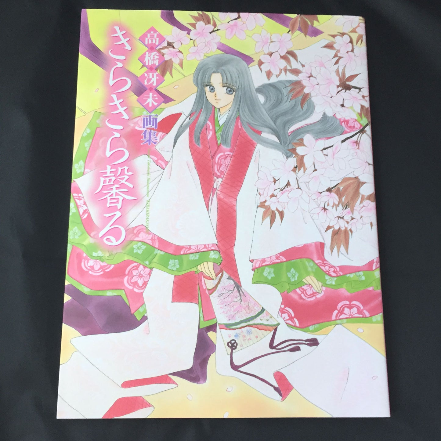 Kirakira Kaoru Saemi Takahashi Illustration ART BOOK